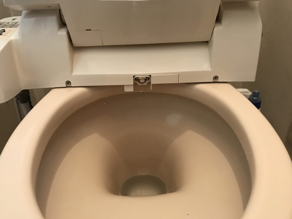 便器後方の縁と温水洗浄便座下部(清掃後)