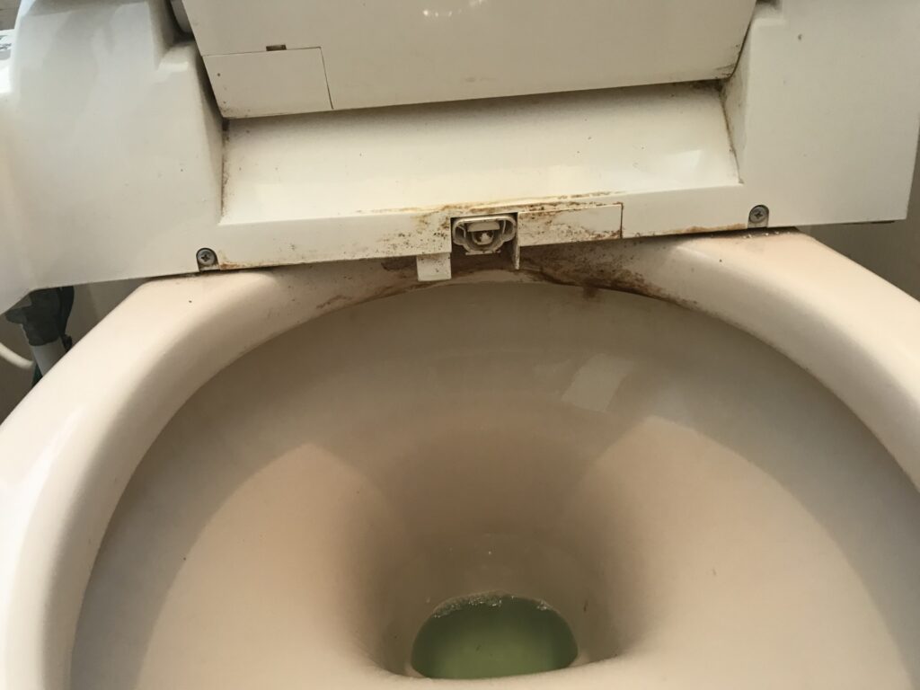 便器後方の縁と温水洗浄便座下部(清掃前)