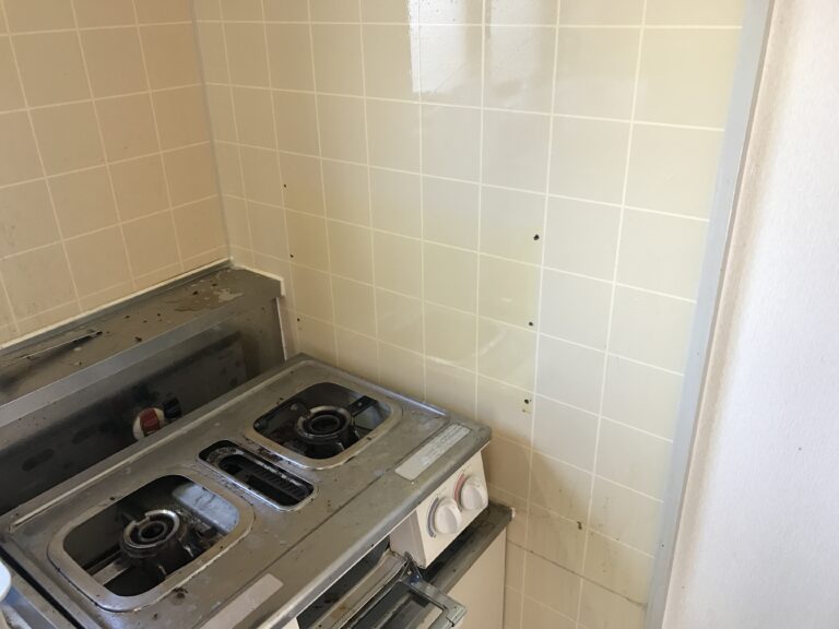 壁面の清掃後。コンロまわりは部品を外した状態で、部屋全体の完成写真ではありません。