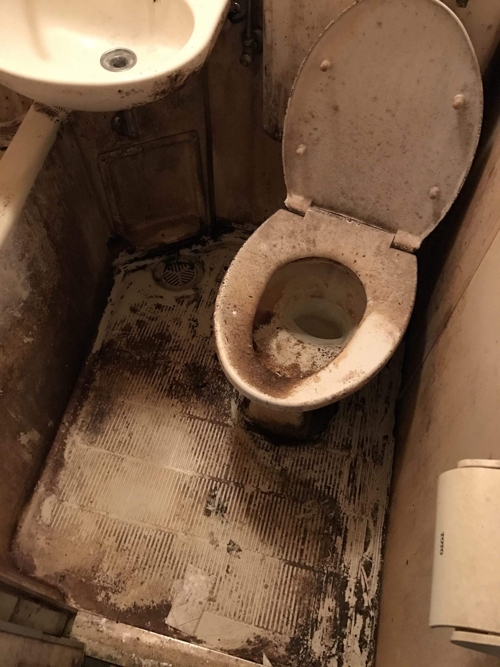 清掃前の便器と床まわり。