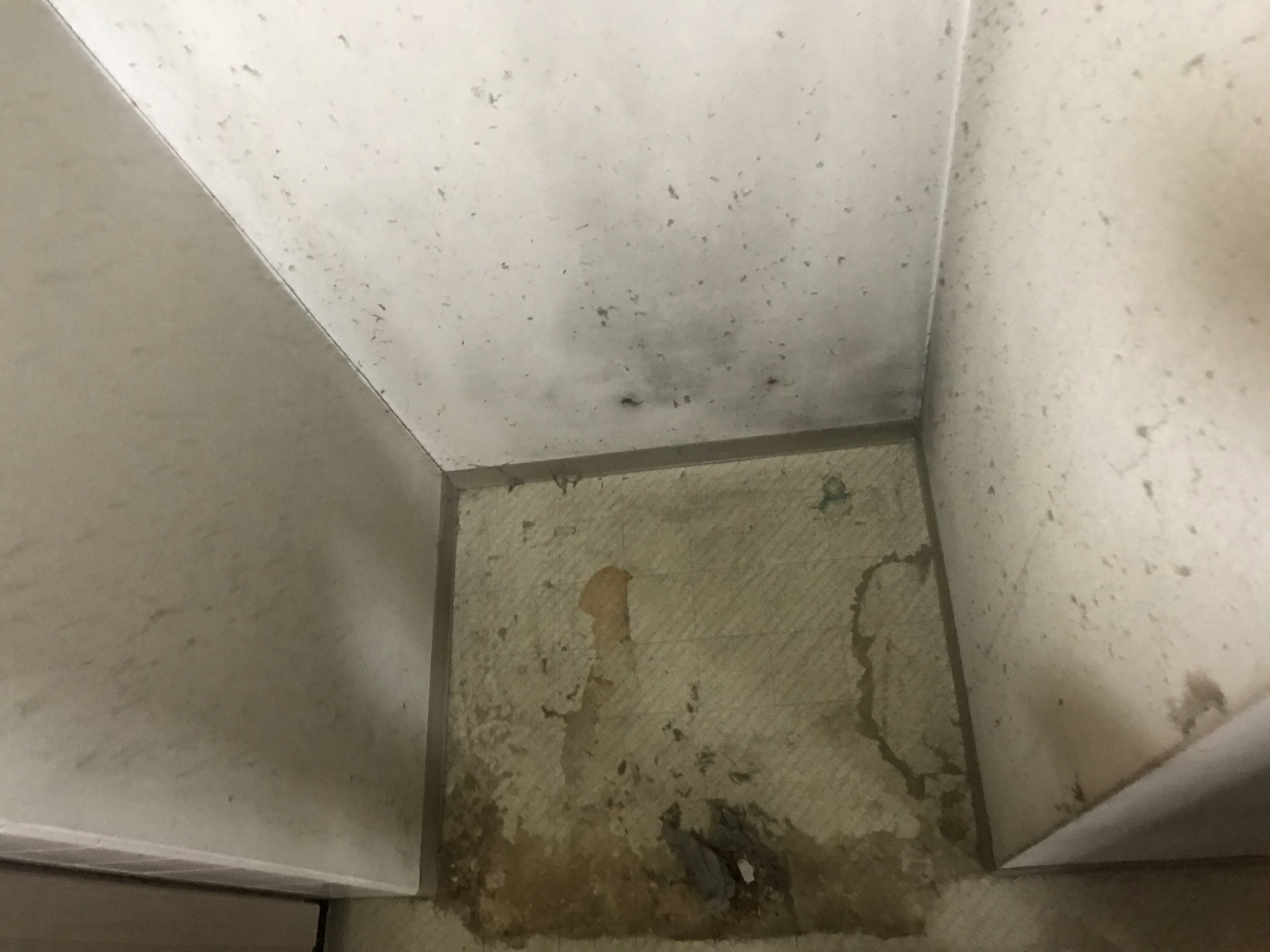 冷蔵庫が置かれていた床と壁の清掃前。