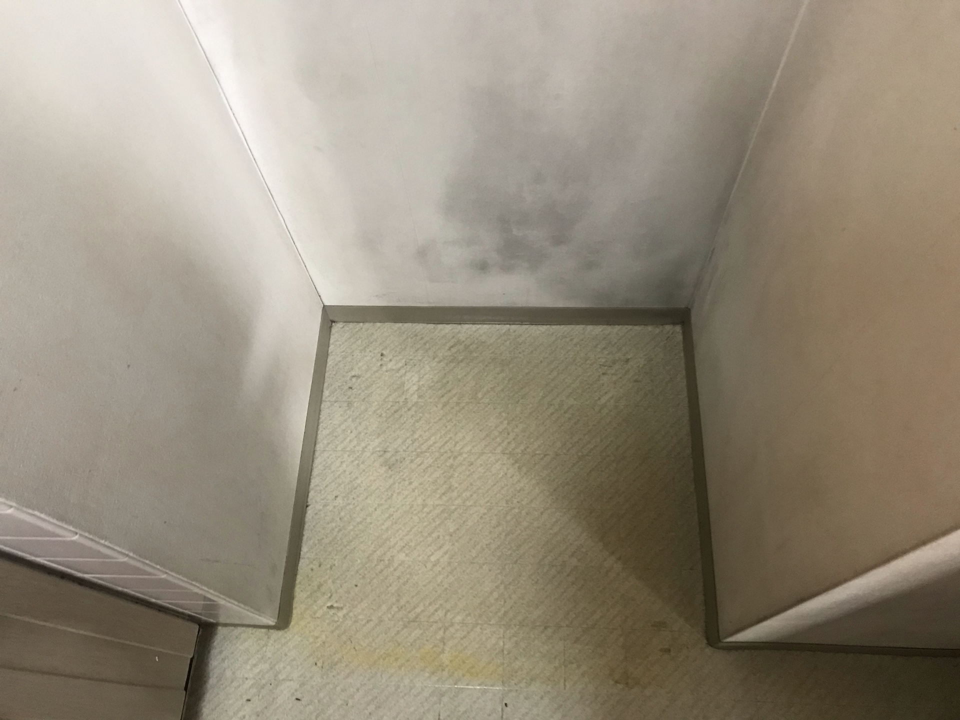 同じ場所の清掃後。