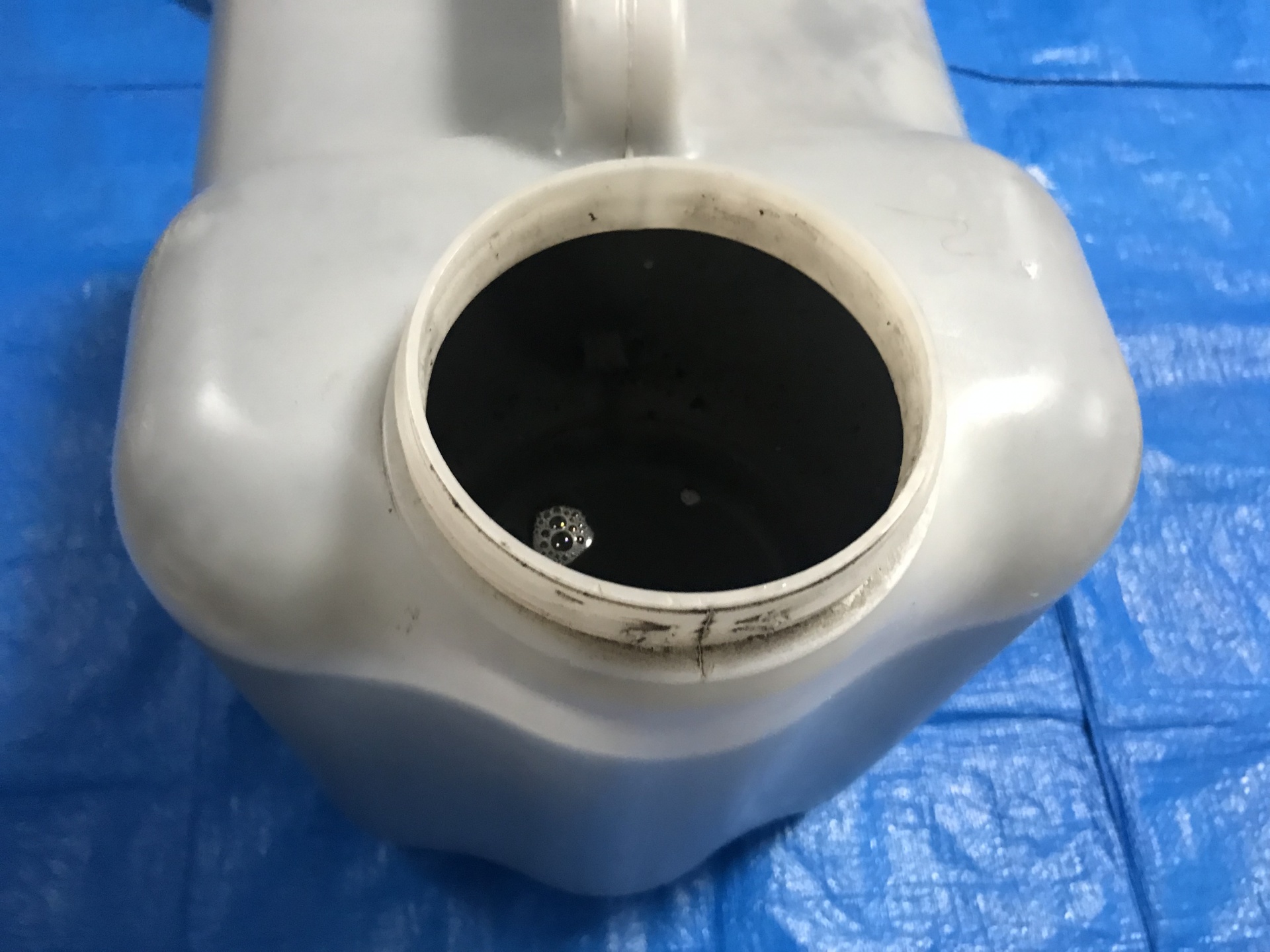 この作業で回収した汚水。