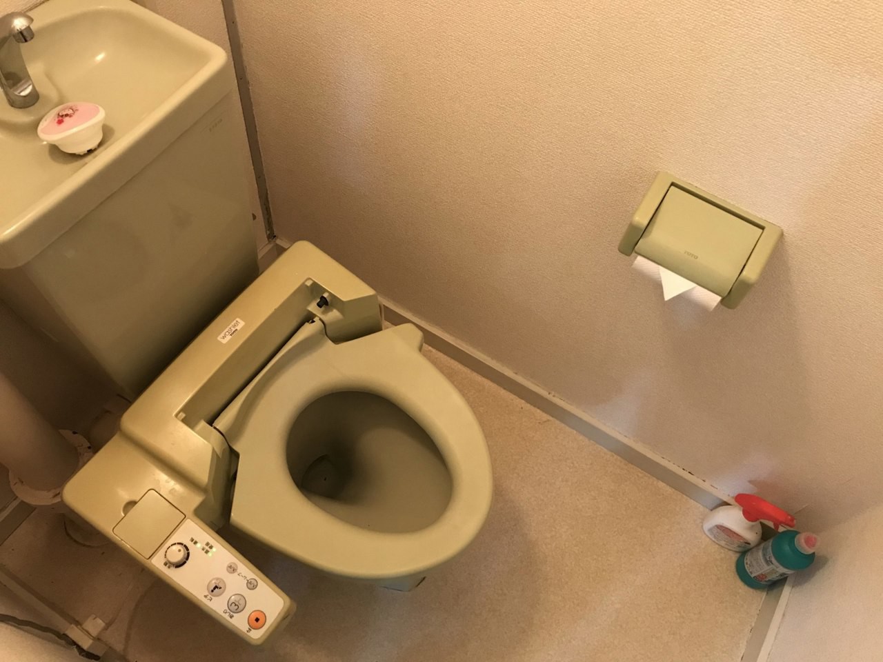 トイレ全体。
